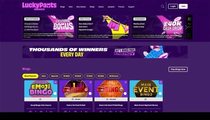 Lucky Pants Bingo Casino Review Header