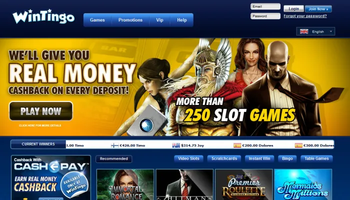WinTingo Casino Review Header